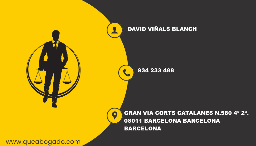 abogado David Viñals Blanch (Barcelona)